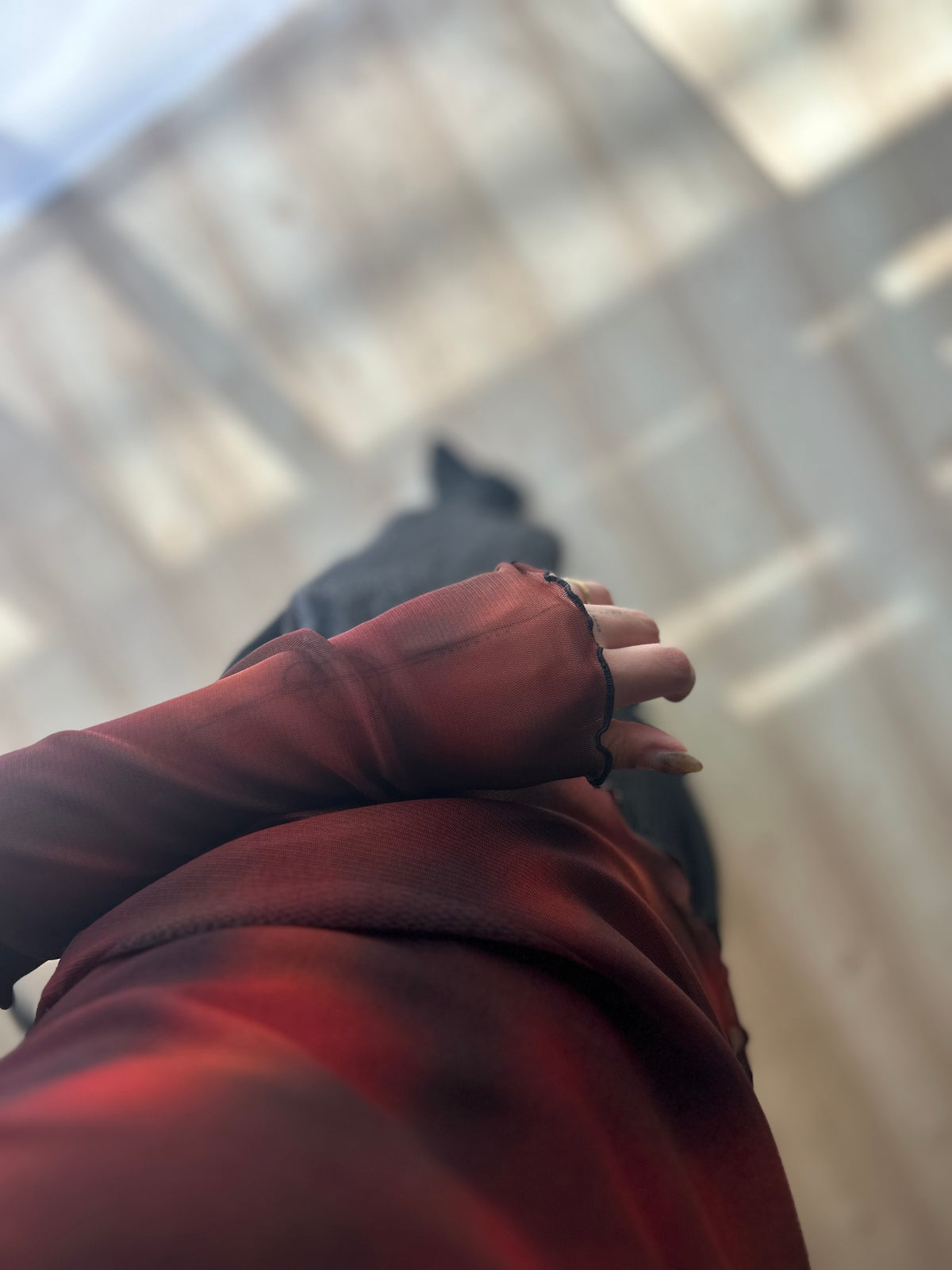 【予約】赤城の彩り Sheer tops
